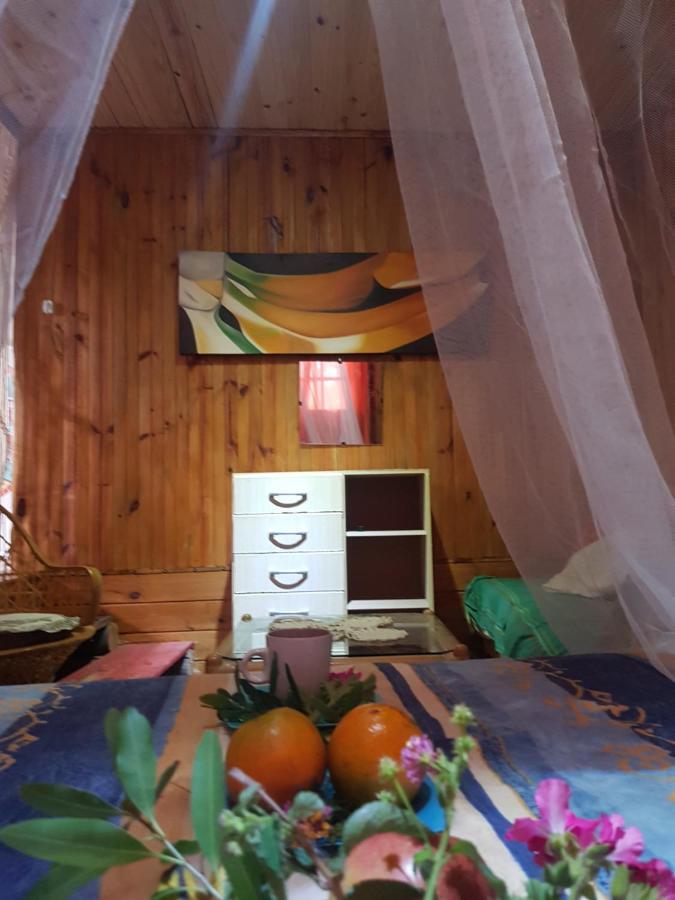 Cabana La Rustika بونتا ديل ديابلو المظهر الخارجي الصورة